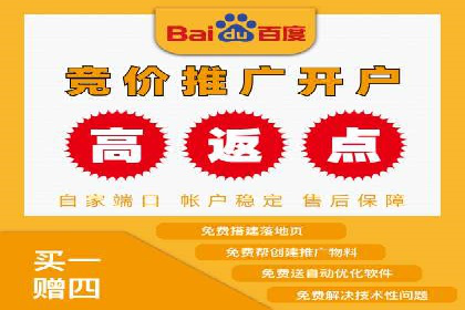 SEM外包策略在电商平台的成功案例